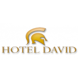 hotel-david.png